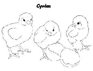 Beth am liwio ac yna argraffu'r cywion bach